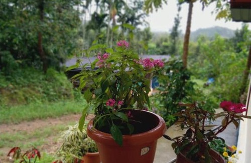 Sakleshpur House | Dreamwood FarmStay