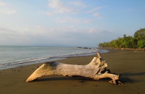 Playa Matapalo Bed & Breakfast | Dreamy Contentment