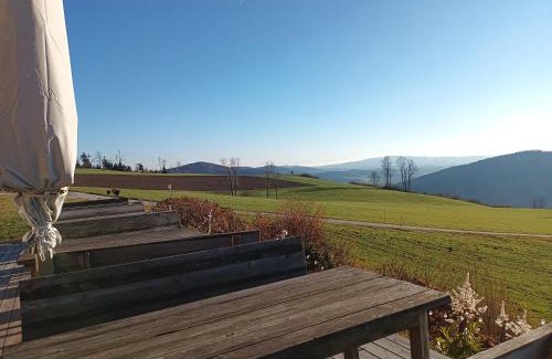 Hauzenberg Apartment | Dreiländereck mit Sauna und Pool, Wohnung 403