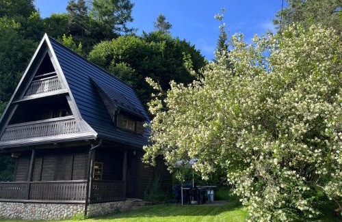 Muszyna Cabin | Drewniany Domek BB Nad Rzeką