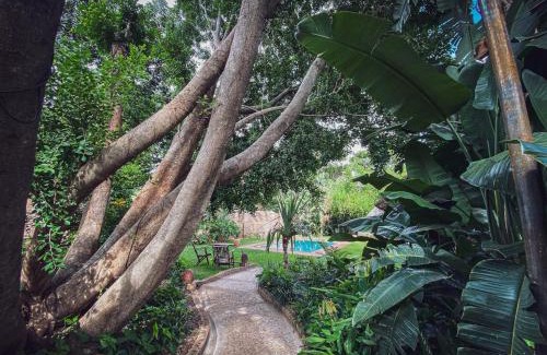 Victoria Falls Cabin | Drift Inn