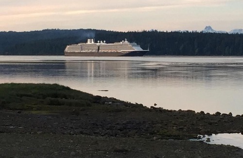Campbell River Hotel | Driftwood by the Sea Inn