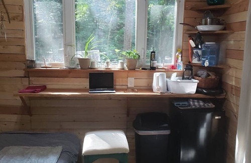 Ozone Cabin | Driftwood Treehouse Cabin w/AC, Peaceful & Cozy!