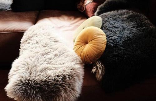 Horboden House | Drop In mountain chalet