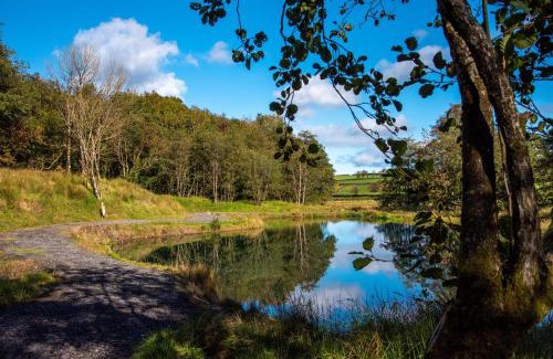 Lisnarrick Other | Drumhoney Holiday Park