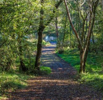 Lisnarrick Other | Drumhoney Holiday Park