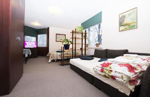 Druskininkai Apartment | Drusva Apartamentai