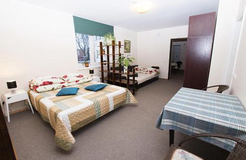 Druskininkai Apartment | Drusva Apartamentai