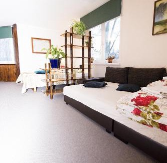 Druskininkai Apartment | Drusva Apartamentai