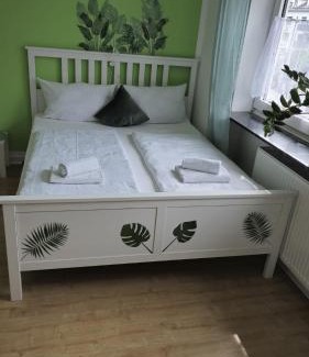 Wehlheiden Apartment | Dschungel-Apartment Steubenstr 13