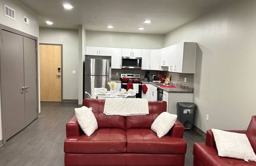 Downtown Des Moines Apartment | DT vintage/classy one bedroom! (206)