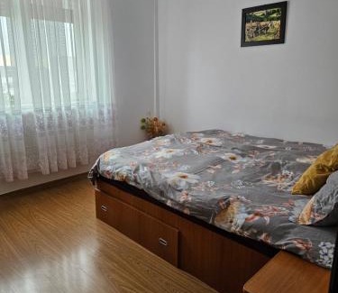 Buzau Apartment | Dudu'apartament