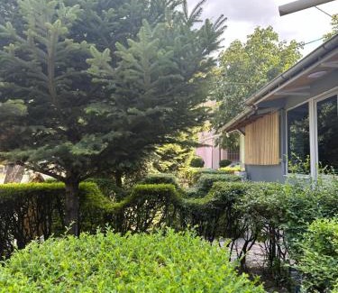 Korce Apartment | Dukati Guesthouse