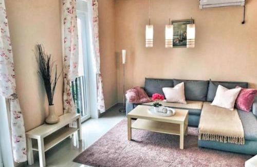 Stari Banovci Apartment | Dunav97