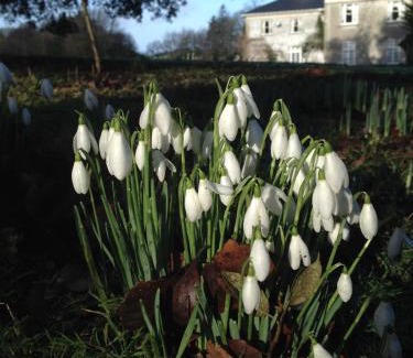 Arthurstown Hotel | Dunbrody Country House Hotel
