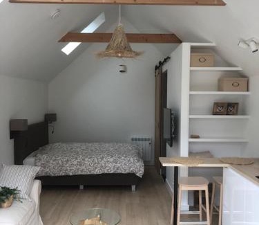 Municipality of Zandvoort House | Dune Vieuw
