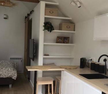 Municipality of Zandvoort House | Dune Vieuw