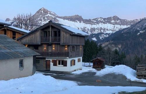 Crest-Voland Ski Chalet | Duplex 11 pers. au centre de Crest-Voland, cheminée, ski-room, wifi, non fumeurs - FR-1-733-36