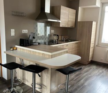 Dunkerque Centre Apartment | Duplex Lumineux 60m2 Dunkerque Centre, 2 min port