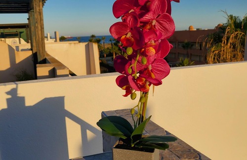 Las Herrerias Apartment | Duplex penthouse with private pool and sea views!