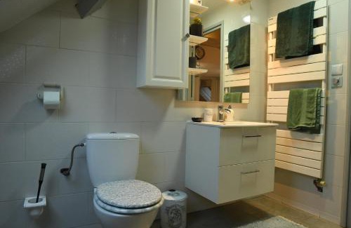 Mulhouse Apartment | DUPLEX SPACIEUX TOUT CONFORT