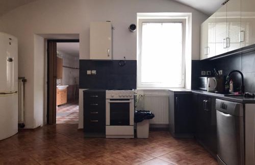 Ceske Budejovice Apartment | Dvacítka