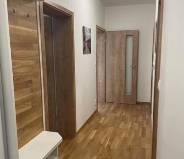 Samorin Apartment | Dvojizbový byt vzdialený 800 m od X Bionic Sphere s dvoma kúpeľňami