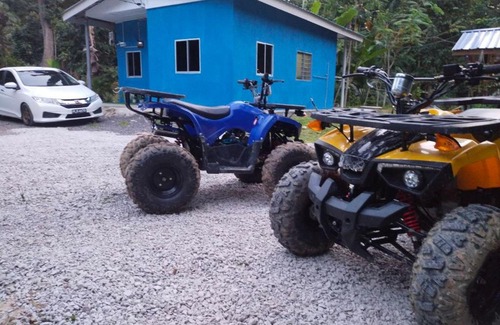 Kampar District House | DZaf Homestay & Mini Chalet