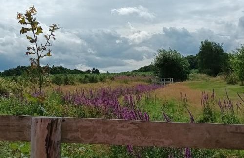 gmina Olszyna House | E Berry Farm - Slow life home