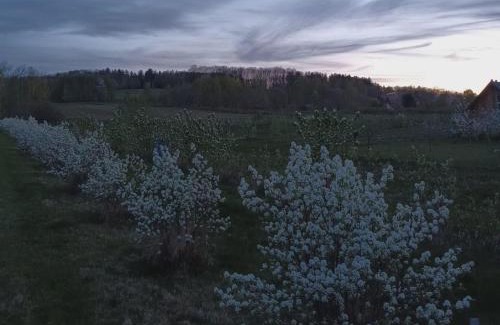 gmina Olszyna House | E Berry Farm - Slow life home