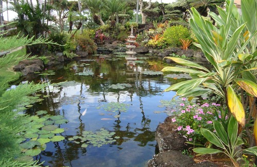 Kapaa Condo | Eastside Zen Retreat, Pono Kain4/25-5/3 - Discounted 15%