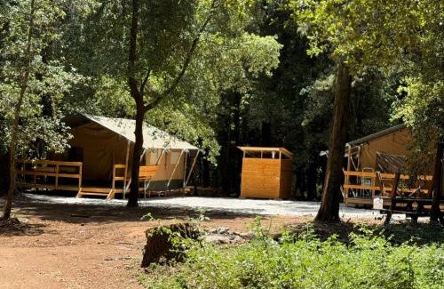 Monreale Other | Eco Campus Glamp House