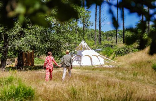 Busque Other | ECO CEIBA