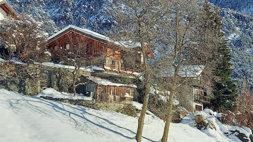 Mae House | Eco Chalet Maison Dominique
