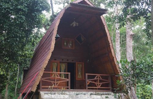 Bohorok Other | Eco Conservation Landak Luxury Tents