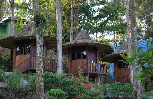 Bohorok Other | Eco Conservation Landak Luxury Tents