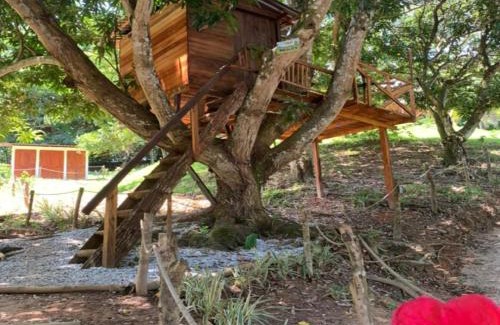 San Sebastian de Mariquita Other | Eco-Glamping Shalom