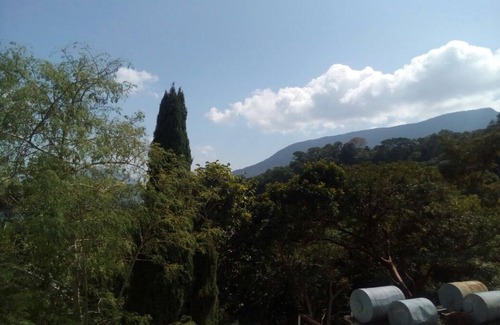 Pluma Hidalgo Hotel | Eco Hotel El Refugio, In the mountains but near the sea. - ROOM 9