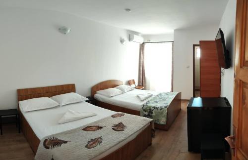 Sulina House | Eco House