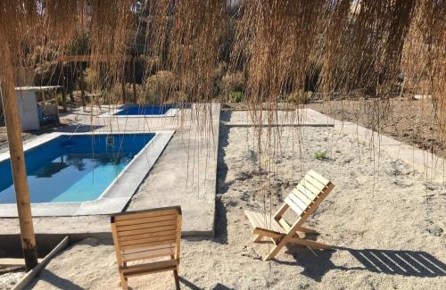 Coquimbo Bed & Breakfast | Eco Lodge Loro Tuerto
