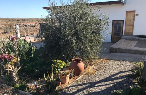 Coquimbo Bed & Breakfast | Eco Lodge Loro Tuerto