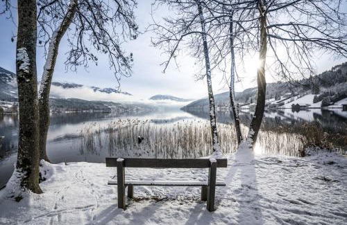 Ferndorf Cabin | Eco Lodges Millstätter See