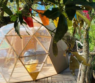San Jose De Los Llanos Resort | Eco-Resort Domo Maestra