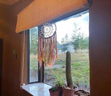 Panguipulli House | Eco Tiny House