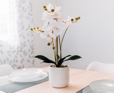 Deltebre Apartment | EcoNature