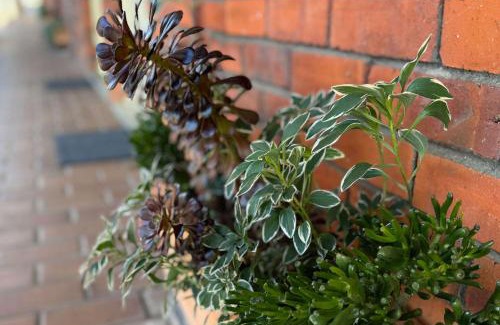 South Tamworth Cabin | Econo Lodge Gateway Tamworth