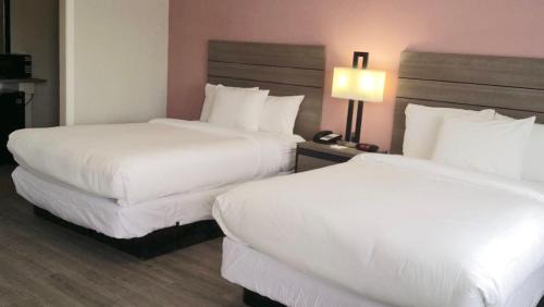 Abilene Hotel | Econo Lodge Inn & Suites Abilene East District