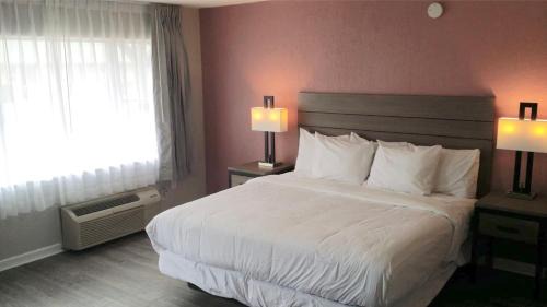 Abilene Hotel | Econo Lodge Inn & Suites Abilene East District