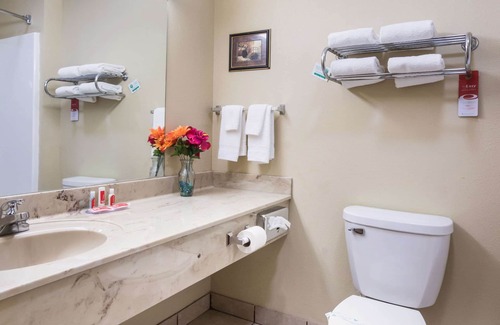 Rockmart Hotel | Econo Lodge Inn & Suites Rockmart