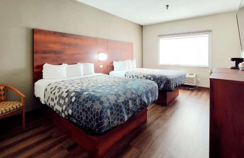 Fargo Cabin | Econo Lodge